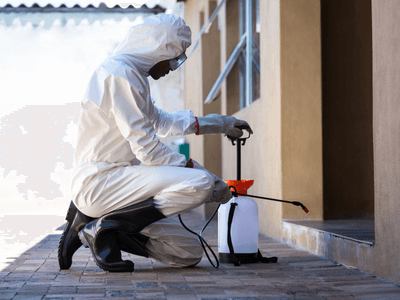 About Ant Control Windsor Ridge - ant control experts in Windsor Ridge