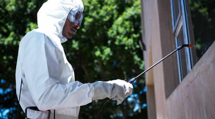 Why choose Ant Control Windsor Ridge for ant control in Windsor Ridge